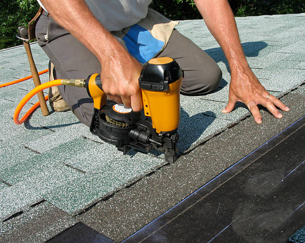 Best Roof Gutter Cleaning  in Johnson City, TN