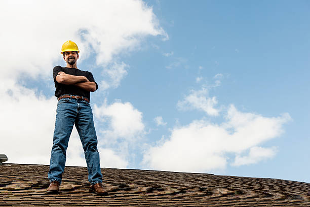 Best Metal Roofing Contractor  in Johnson City, TN