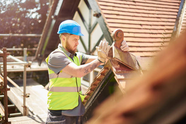 Best Storm Damage Roof Repair  in Johnson City, TN