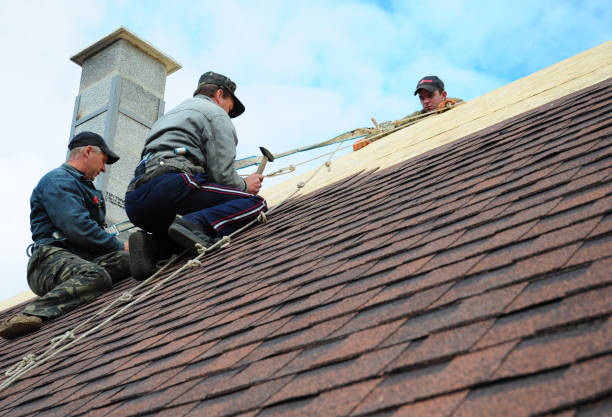 Best Shingle Roofing Installation  in Johnson City, TN